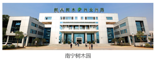 南宁树木园1